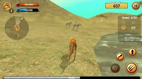 Wild Cheetah Sim 3D Android Gameplay.