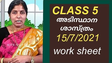 first Bell basic science/work sheet/15/7/2021