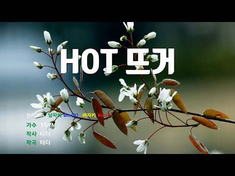 [은성 반주기] HOT 뜨거 - 1TYM