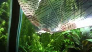 Quick Fish Tank  tip