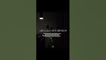 #اكسبلور #المصحف #اذكار #اسلاميات #الرحمن #راحة_نفسية #بيشه #قران_كريم #حالات