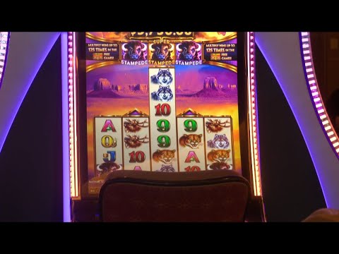 Yes I got a bonus on BIG BASS SECRETS OF THE GOLDEN LAKE $1sc spin!! Wow Vegas casino 🎰