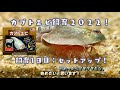 【カブトエビ飼育2022】飼育01日目：今夏もカブトエビ飼育セットで飼育開始！・・夏休みの宿題に、カブトエビ飼育にチャレンジする？