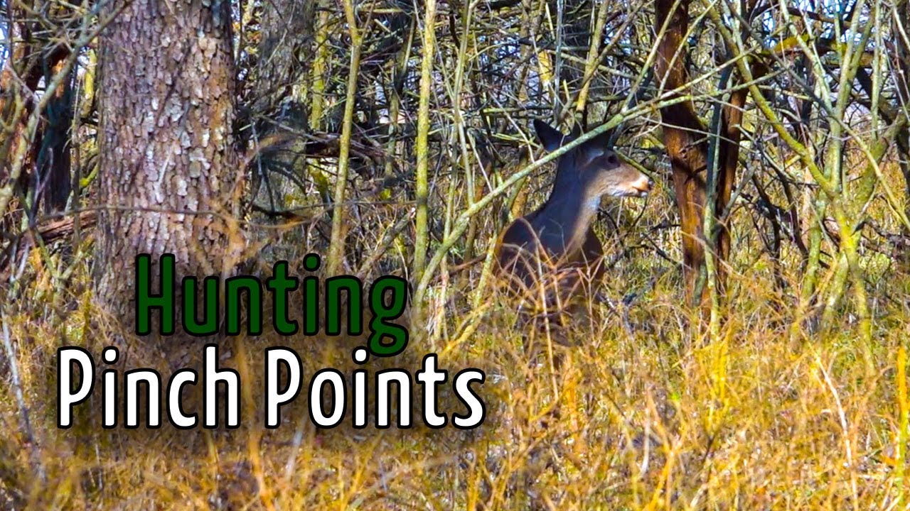Finding And Creating Pinch Points To Funnel Deer For Better Hunting finding-and-creating-pinch-points-to-funnel-deer-for-better-hunting