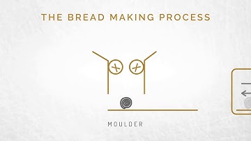 Lallemand Baking | The Art of Fermentation: Yeast in Breadmaking