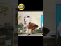 加トちゃんのクシャミで小梅太夫!? #shorts