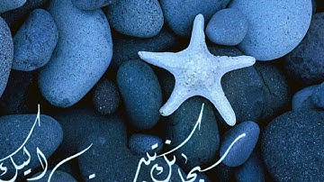 تلاوة رائعة سورة الجمعة امام الحرم الشيخ بندر بليلة www.qoranet.net