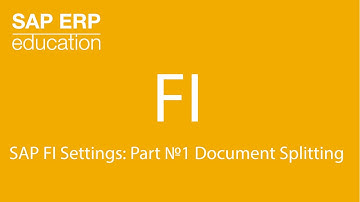 SAP FI Settings: Part №1 Document Splitting  Разделение документа в ГГК