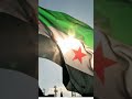 علم الاخضر عنواني الله يحفظك الرئيس علم الاخضر عنواني الله يحفظك الرئيس