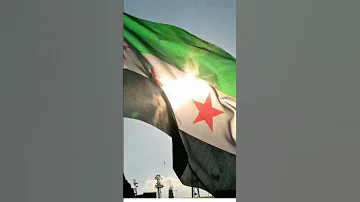 علم الاخضر عنواني الله يحفظك الرئيس 