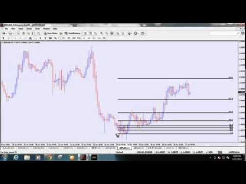 Teknik forex fibo musang