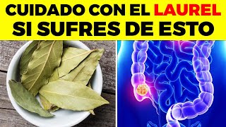 Los PODEROSOS BENEFICIOS del Laurel En tu Salud, SÚPER PLANTA MEDICINAL