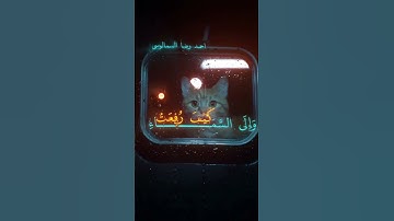 أَفَلَا يَنظُرُونَ إِلَى الْإِبِلِ كَيْفَ خُلِقَتْ  #قرآن #quran #القرآن_الكريم #تلاوة_خاشعة #fyp