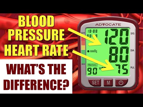 Blood Pressure and Heart Rate:  What&rsquo;s the Difference and Why Should You Care