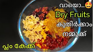 Christmas Cake - Dry Fruits കുതിർക്കുമ്പോൾ അറിഞ്ഞിരിക്കേണ്ടതെല്ലാം Fruit Soaking for Plum Cake ?