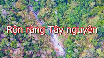Cồng chiêng Tây nguyên | Rộn ràng mùa lễ hội | Hung Hoa Lu
