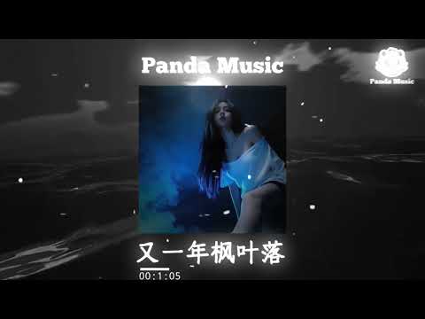陈默默 & 涂泡泡 -又一年枫叶落(抖音DJ版)｜氛围感BGM｜DOUYIN｜TIKTOK｜MUSIC｜REMIX