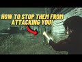 YOU CAN BLIND THE ZOMBIES (Dead by Daylight Resident Evil Chapter)