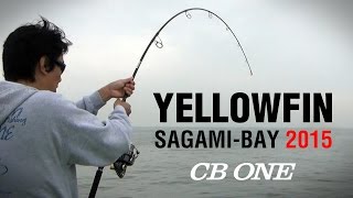 相模湾キハダゲーム2015 Yellowfin Sagami-Bay