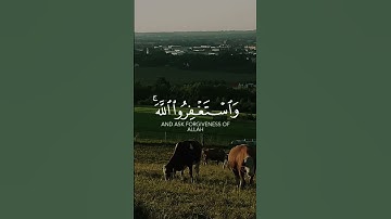 الاية 199 من سورة (البقرة) / شاشة سوداء #القرآن
