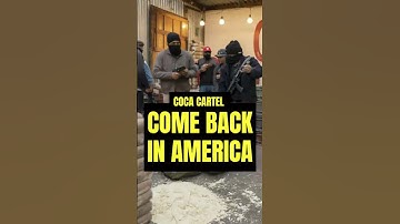 $15M Drug Empire Coming Back to America