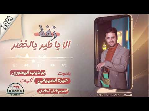 جديد زفة لحجيه الا يا طير يالخضر حمزه السهماني 2024 شيلات زفات زفات بالإسم تخرج مدح مرثيات