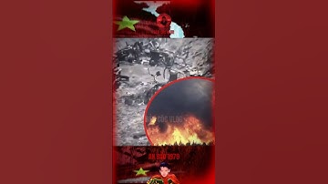 QUẢNG BÌNH: CHÁY RỪNG NGHIÊM TRỌNG, HIỆN CHƯA THỐNG KÊ ĐƯỢC THIỆT HẠI… #bảocóc #bảocócvlog #shorts