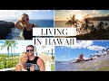 LIVING IN HAWAII: Q&A Expectation Vs Reality, Maui, What You Need To Know About Moving to Hawaii