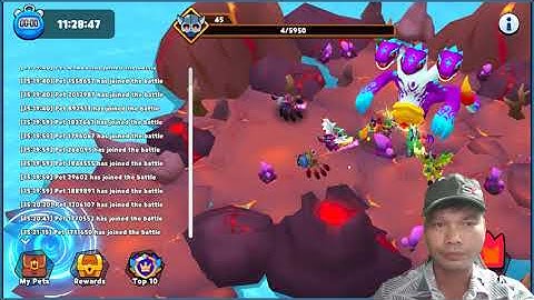 My DeFi Pet: Pets the joined the battel (1), Play to Earn NFT Game