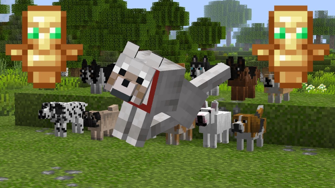 How to bring a dog back to life in minecraft - YouTube