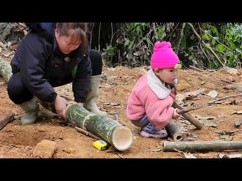Build bamboo houses, create bamboo floor frames to build new houses Build bamboo houses, create bamboo floor frames to build new houses