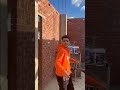 بولا و شعبولا و شكري و شكيره موش موجودين
