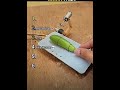 #deadly and funny #trap of animal #