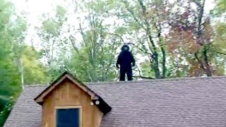 SUICIDAL SASQUATCH CAUGHT ON VIDEO