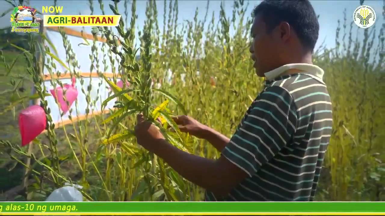 Agri Tayo SOCCSKSARGEN Episode 16 - YouTube