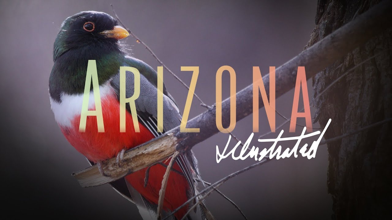 Arizona Illustrated Episode 433 