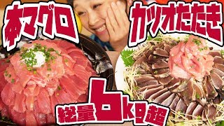 【大食い】超豪華!!トロリ♥絶品!!本マグロ丼＆カツオたたき丼!!文旦・みかん・黒きびも！宿毛市食べ尽し♥【ロシアン佐藤 RussianSato】