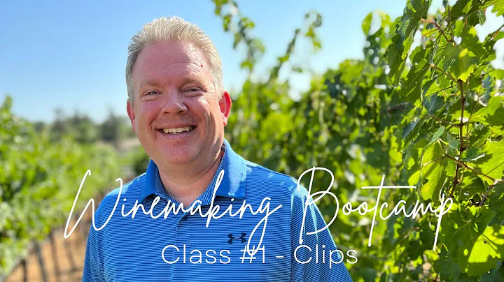 Winemaking Bootcamp Class #1 Clips with Winemaker,...