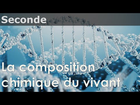 Vidéo: La Composition Chimique Complète De L'estragon