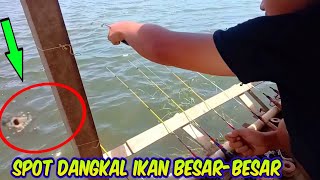 #Inilah Detik-Detik Ikan Penghuni Cirata Menyambar Umpan Saya