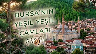 Bursa’nın Yeşil Yeşil Çamları