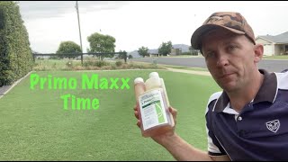 Front lawn continues to shine, How to use a plant growth regulator (PGR) Primo Maxx screenshot 5