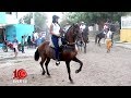 GRAN CABALGATA en Las Piedras Bolívar | 17 Ene 2019 🐎🐴