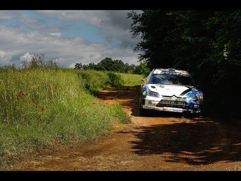 couqley Championnat de France des Rallyes Terre : Jean-Marie Cuoq s'impose à Langres !