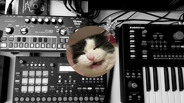 Elektron Analog Rytm and Bass Bot TT-303 Techno Jam