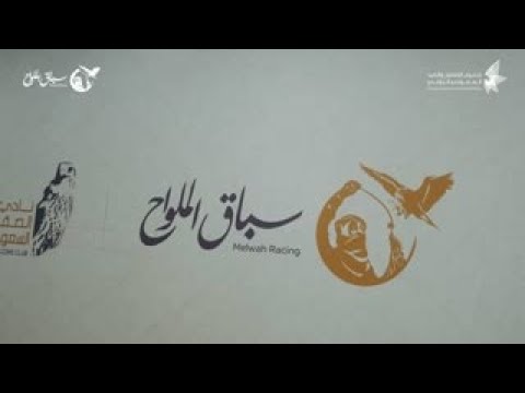 تنافس سرعة في أول أشواط سباق الملواح 2025 شاهين فرخ