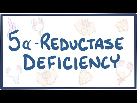 5 Alpha Reductase Deficiency Causes Symptoms Diagnosis Treatment Pathology 5 Alpha Reductase Deficiency Causes Symptoms Diagnosis Treatment Pathology