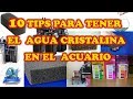 10 TIPS PARA TENER EL  AGUA DE TU ACUARIO CRISTALINA