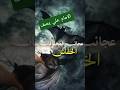 الامام علي يصف عجائب المخلوقات الخفاش اقوال الامام علي مشاهدات اكسبلور