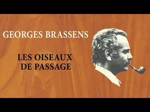 Vidéo: Étaient-ils des oiseaux de passage ?